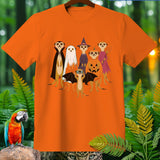 Six meerkats dressed in Halloween costumes, including a vampire, ghost, and fairy.