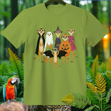 Meerkats in Halloween costumes: vampire, ghost, witch, fairy, and bat.