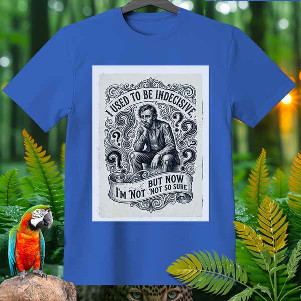 Blue shirt with graphic: "I used to be indecisive, but now I'm not so sure."