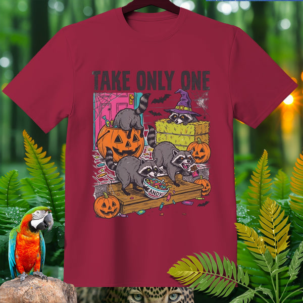 Raccoons raid candy bowl with pumpkins and text "TAKE ONLY ONE".