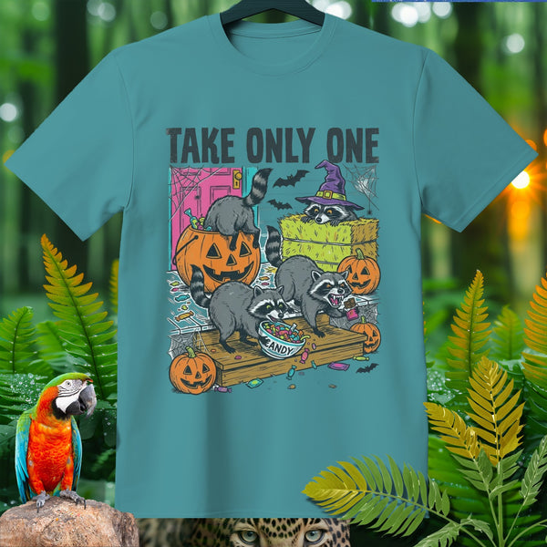 Halloween graphic with raccoons raiding candy and pumpkins, text reads "TAKE ONLY ONE".