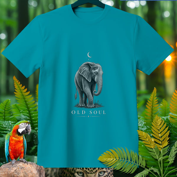 Teal t-shirt with an elephant graphic and "OLD SOUL" text.