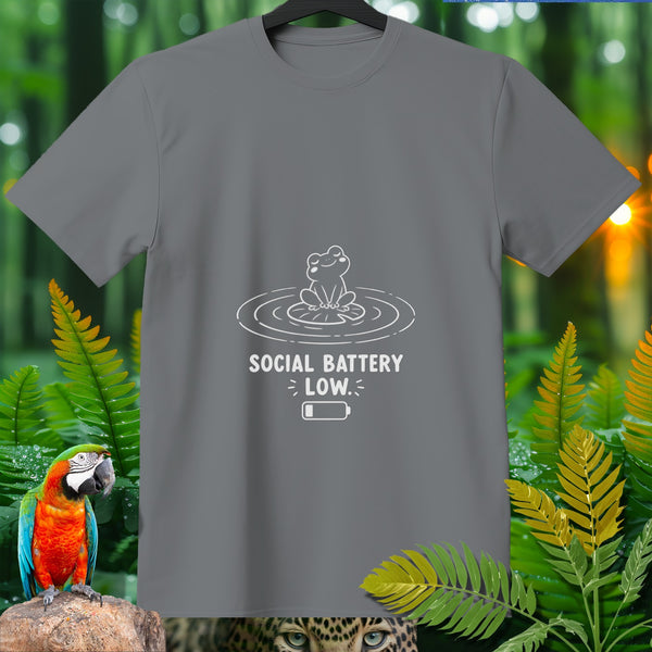 Gray t-shirt with "SOCIAL BATTERY LOW." and a frog graphic.